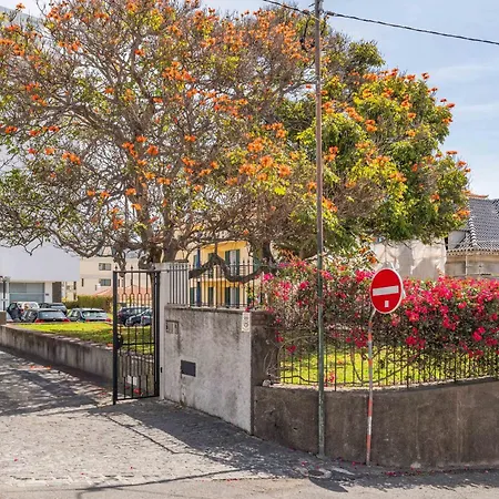 Flh Terrace Funchal (Madeira)